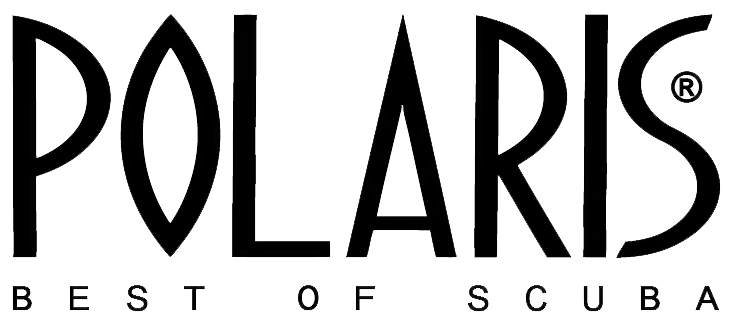 Polaris Logo